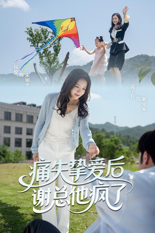 痛失挚爱谢总他疯了 海报