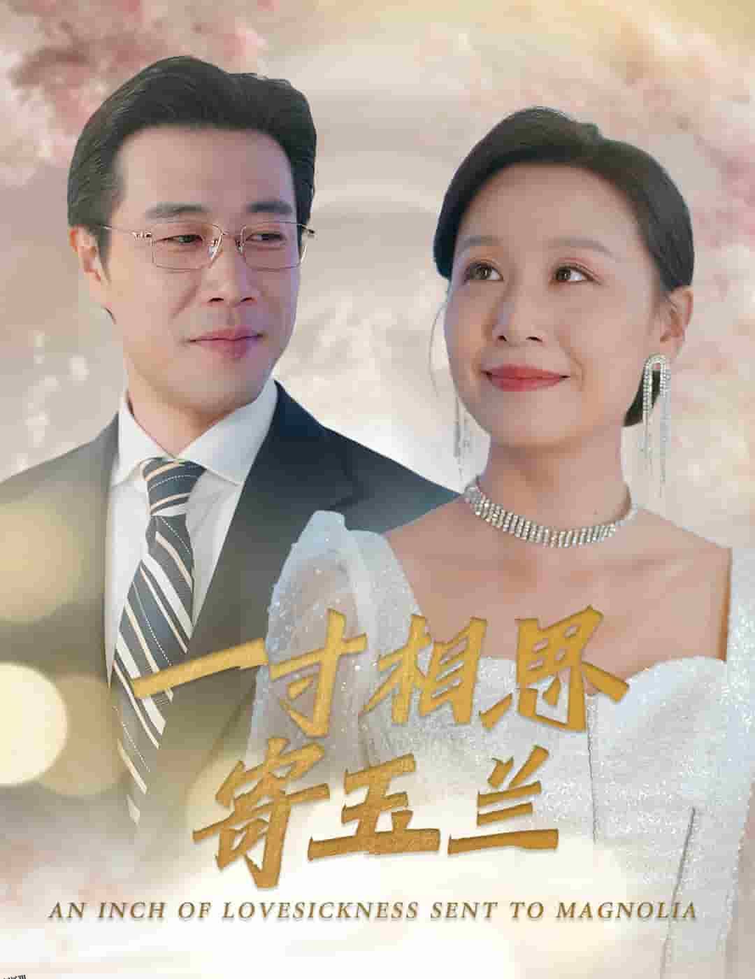 一寸相思寄玉兰 海报