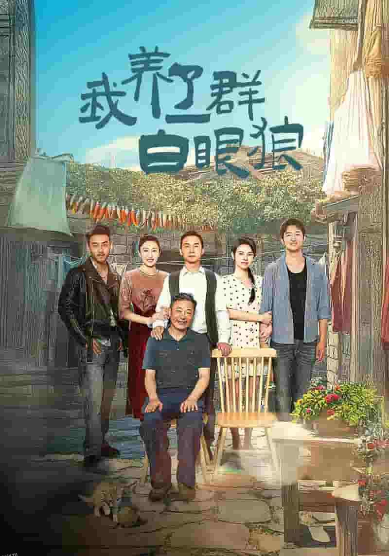 家家有本难念的经 短剧版 海报