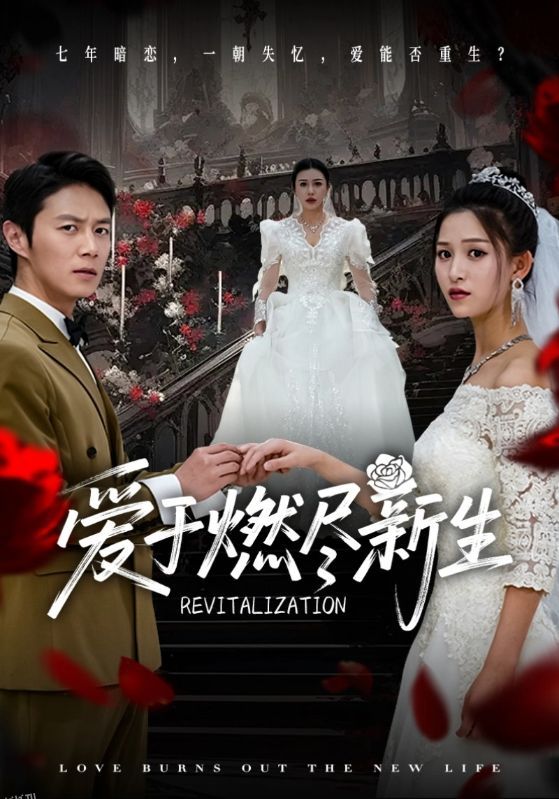 爱于燃尽新生 海报