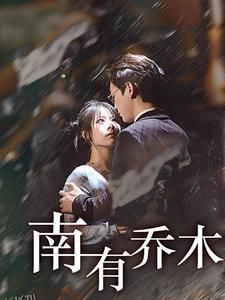 南有乔木 海报