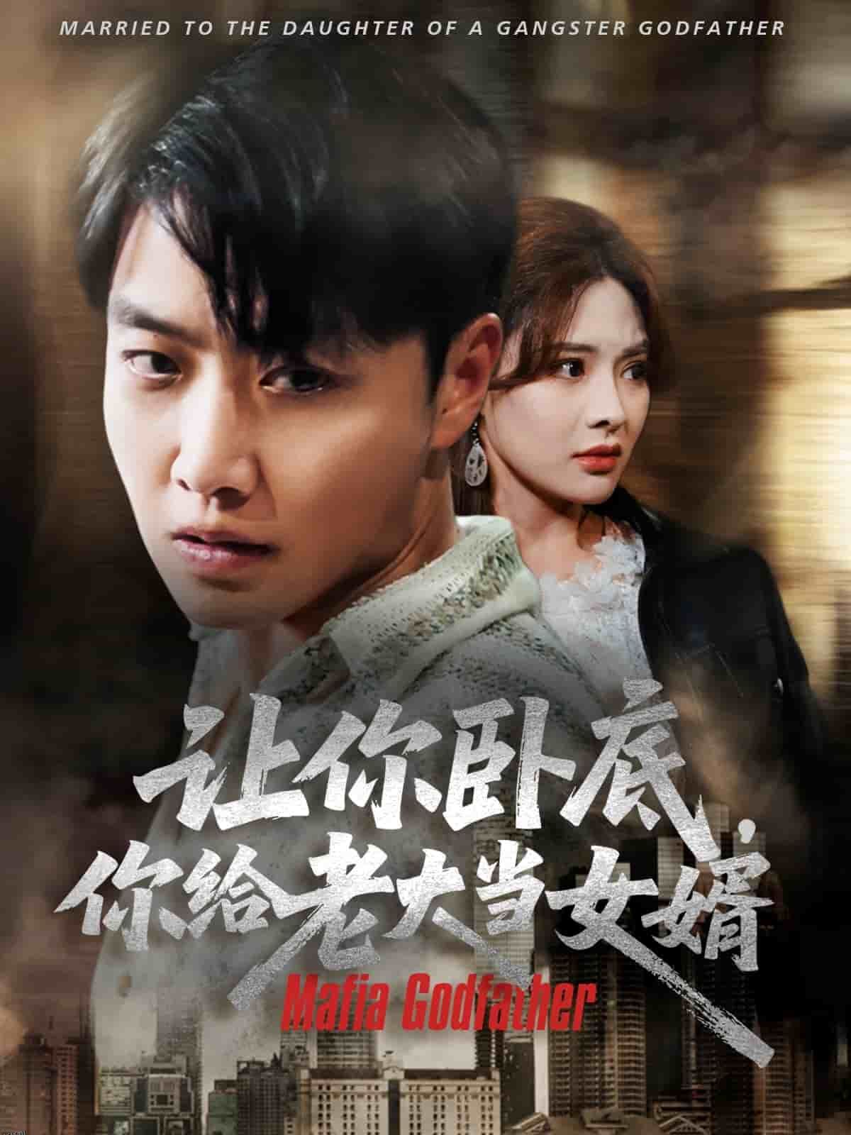 让你卧底你给老大当女婿 海报