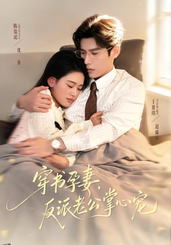 穿书孕妻，反派老公掌心宠 海报