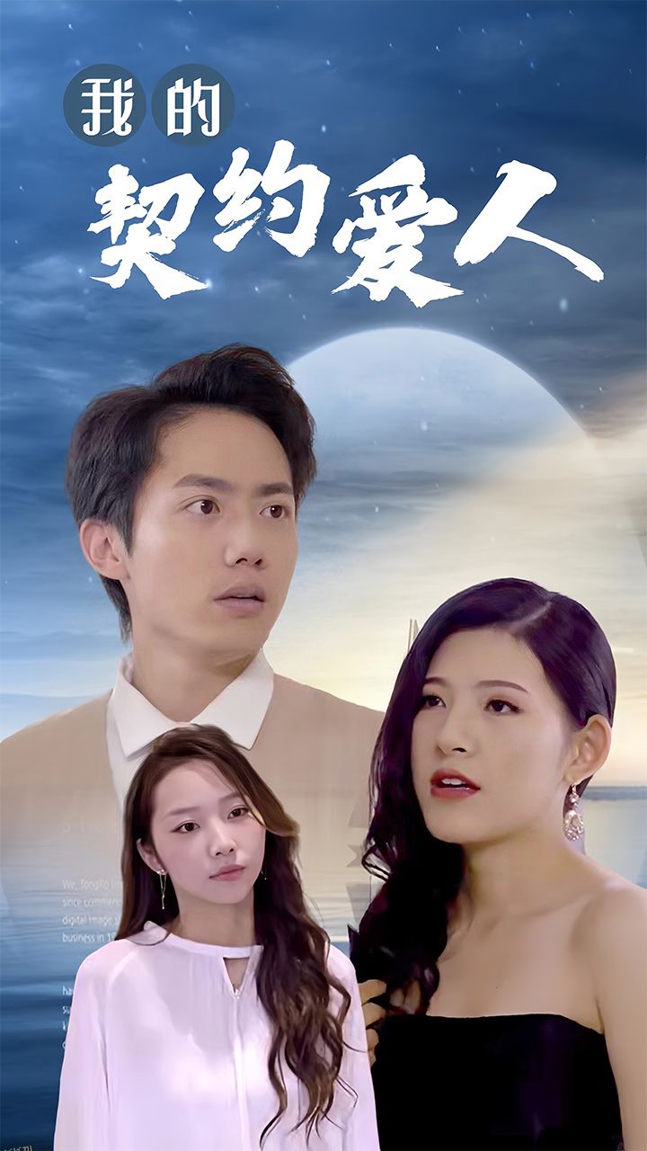 我的契约爱人 海报