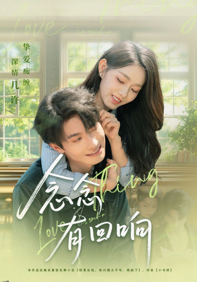 念念有回响 海报