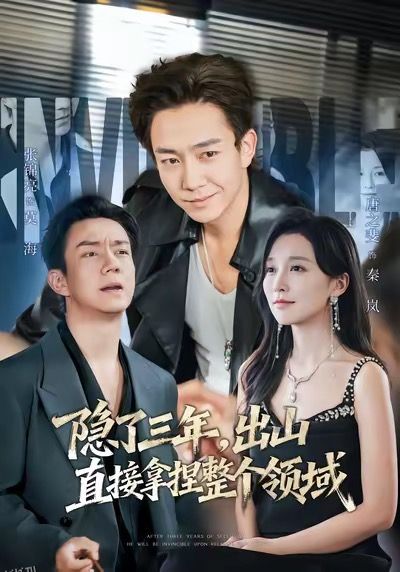 隐了三年，出山直接拿捏整个领域 海报