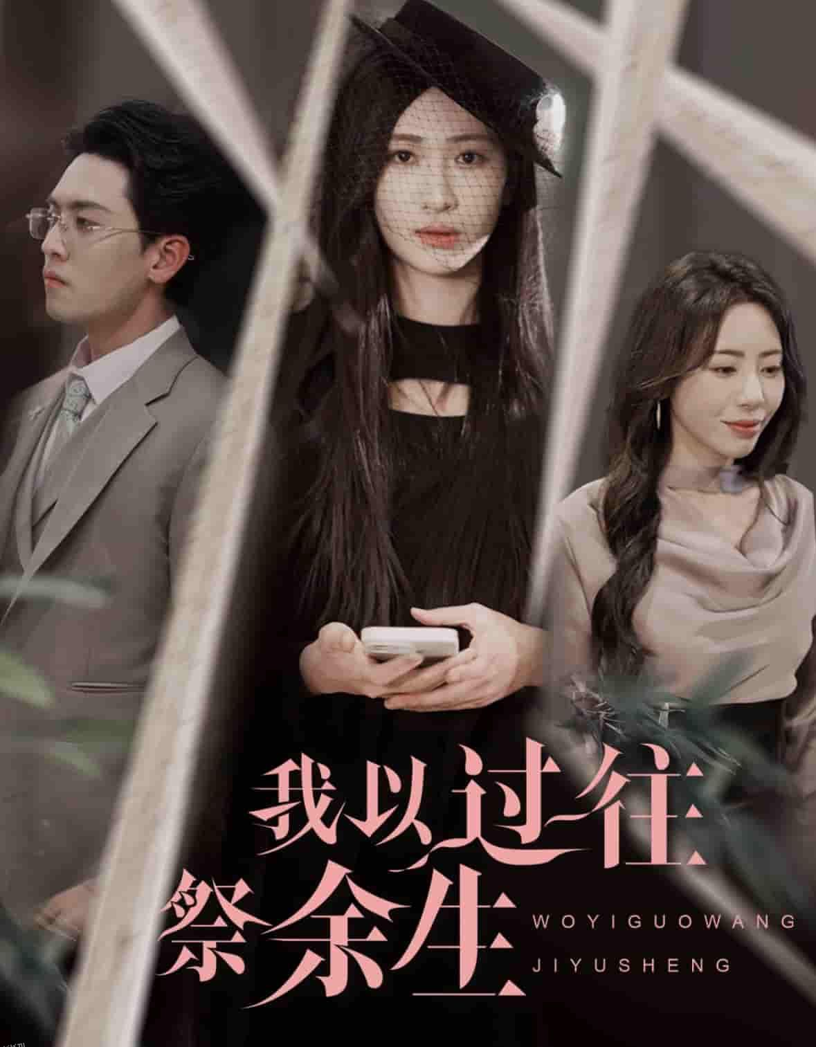 我以过往祭余生 海报