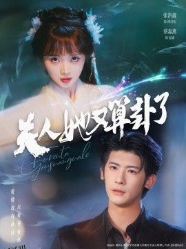 夫人她又算卦了 海报