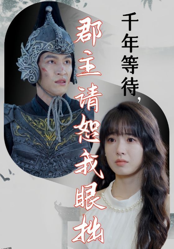 千年等待郡主请恕我眼拙 海报