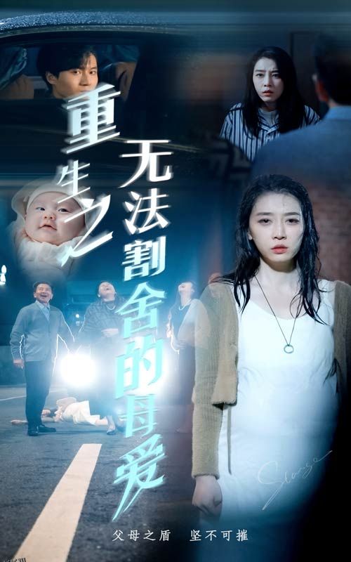 重生之无法割舍的母爱 海报