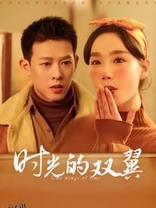 时光的双翼 高清海报