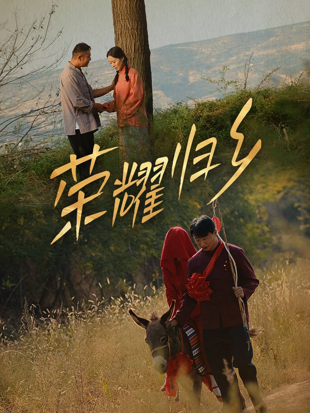 荣耀归乡 高清海报