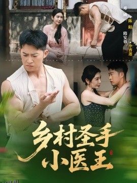 乡村圣手小医王 海报
