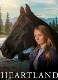 心灵之地第十四季 海报