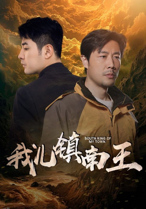 我儿镇南王 海报