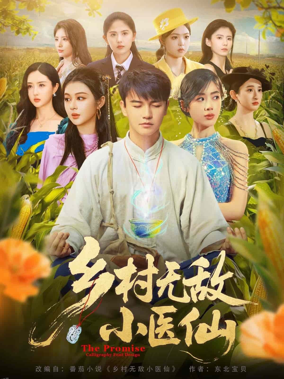 乡村无敌小医仙 海报