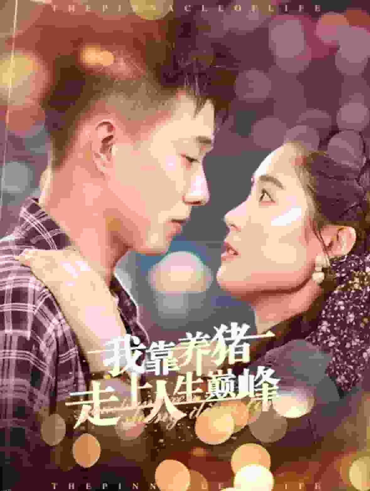 我靠养猪走上人生巅峰 海报