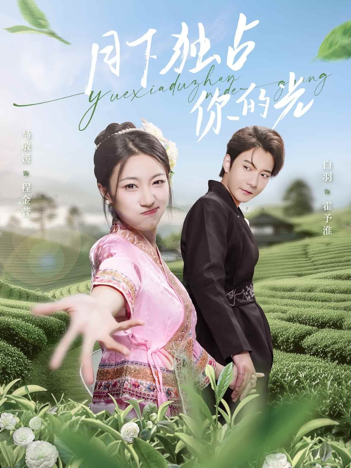 月下独占你的光 海报