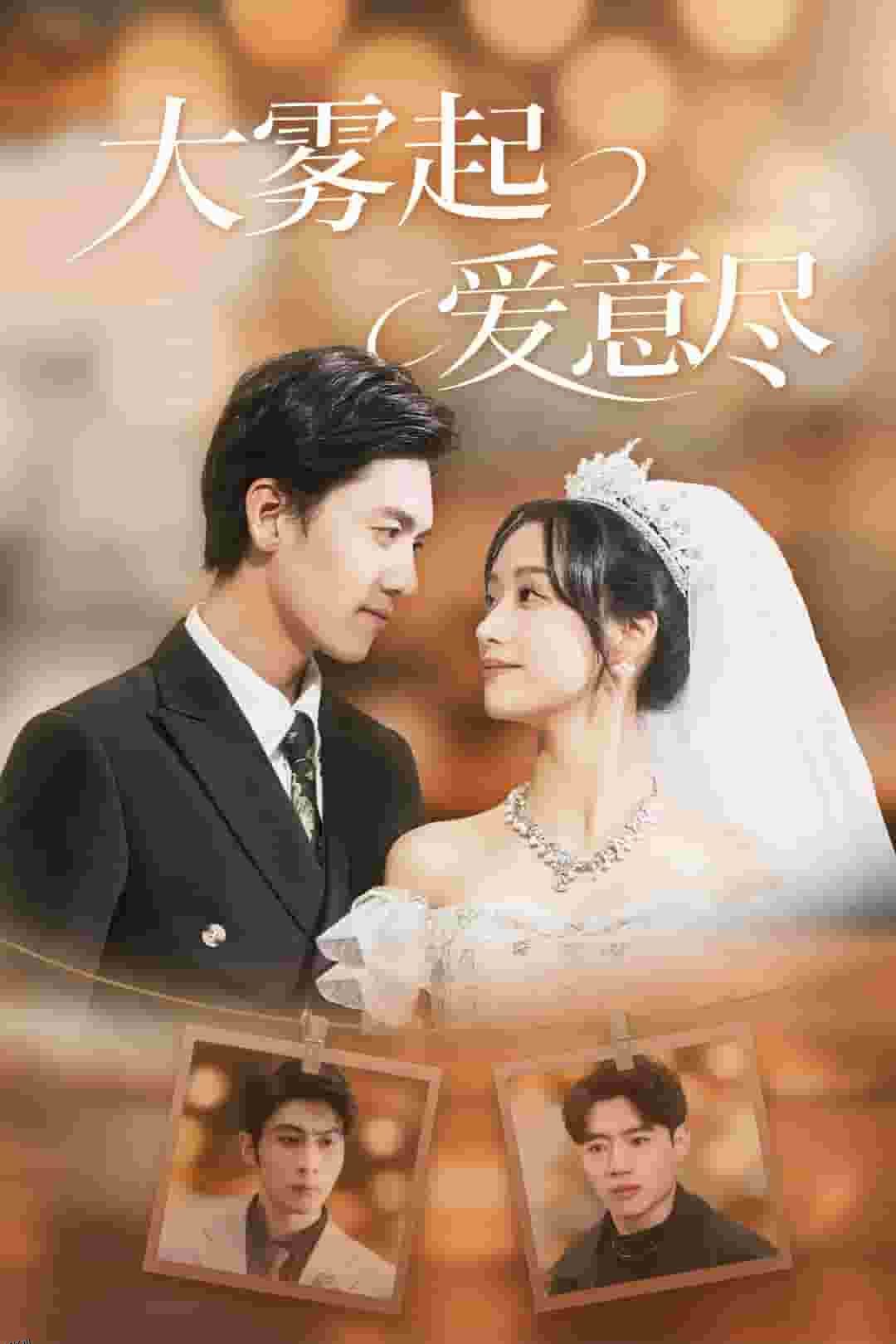 大雾起爱意尽 海报