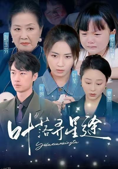 叶落寻星途 海报