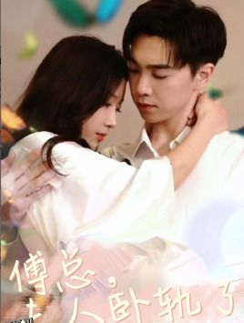 傅总夫人卧轨了 海报