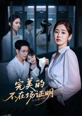 完美的不在场证明 海报