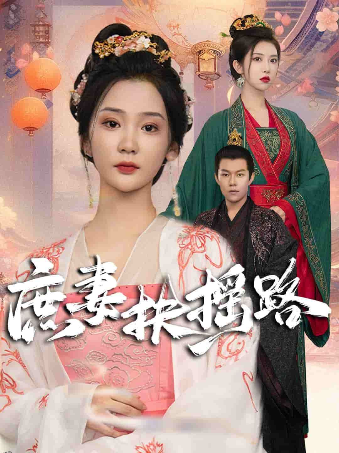 庶妻扶摇路 海报