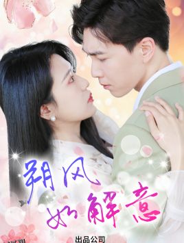 朔风有解意 海报