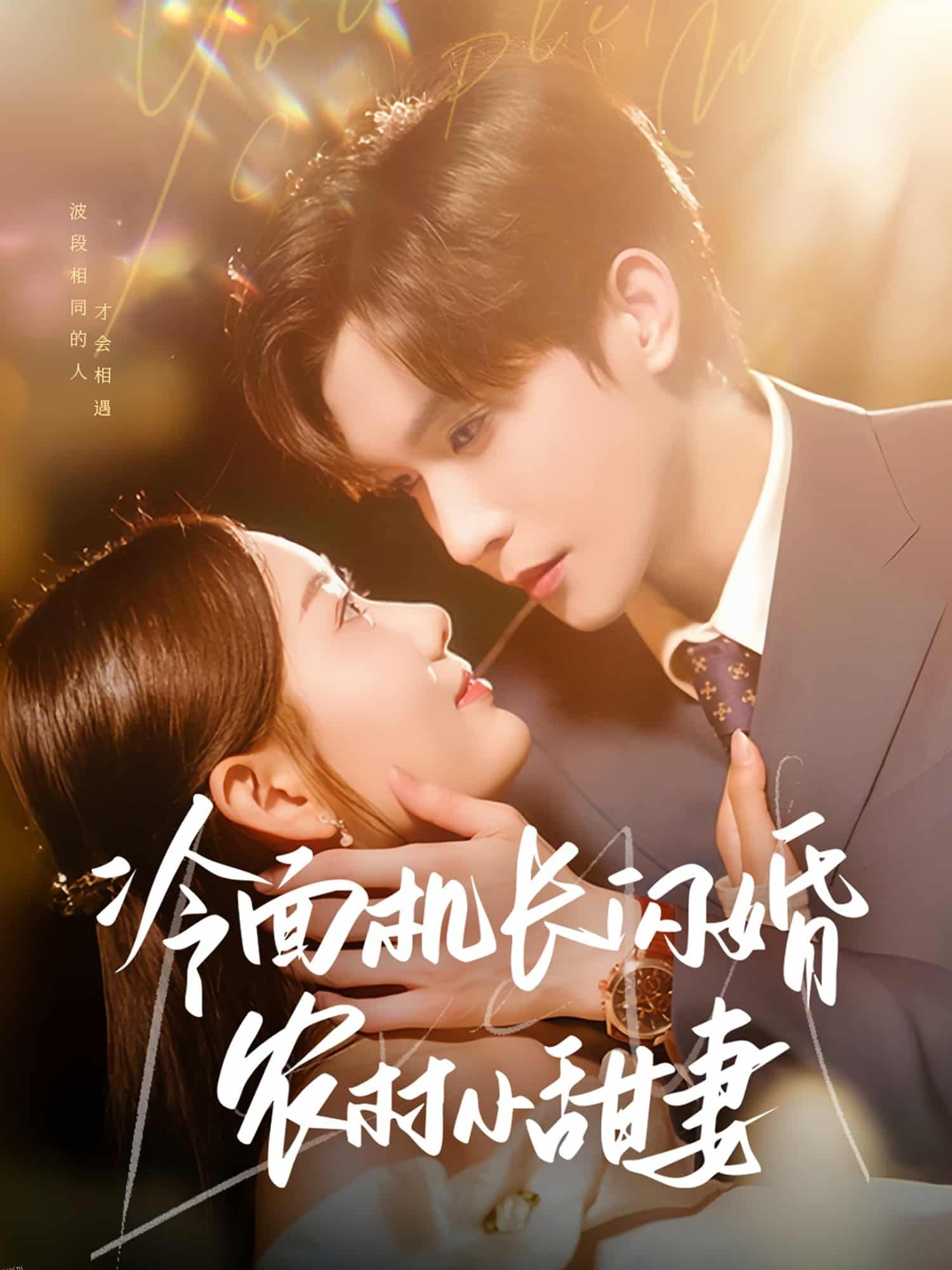 冷面机长闪婚农村小甜妻 海报