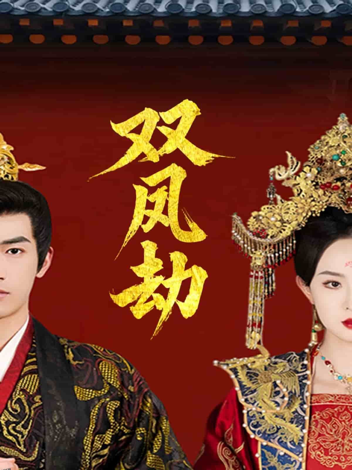 将军骨美人谋 海报