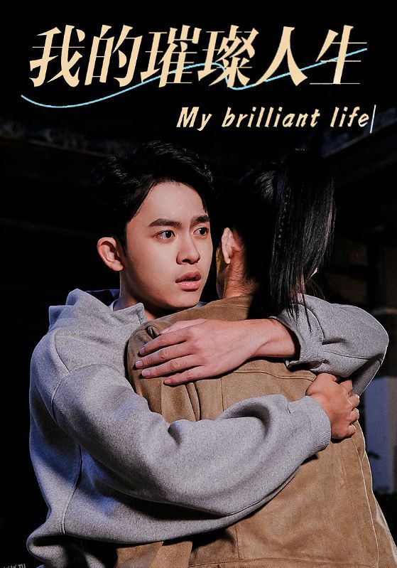 我的璀璨人生 海报