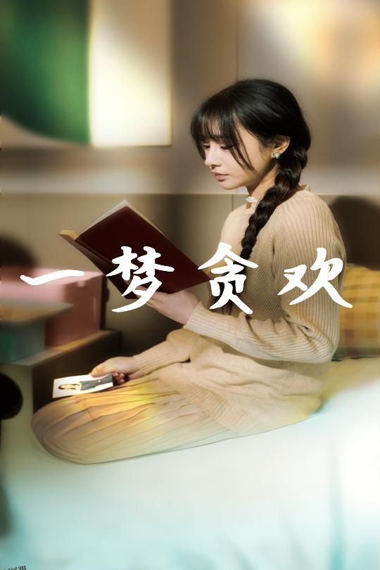 一梦贪欢 海报