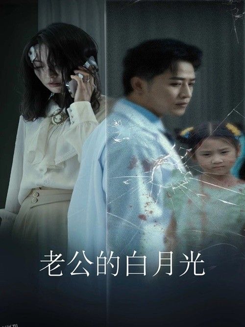 老公的白月光 海报