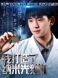 我打造了纳米光刻机 海报