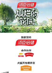 灿烂的花园 奇遇记 海报