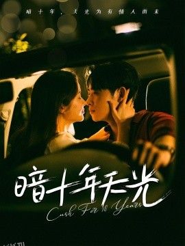 暗十年天光 海报
