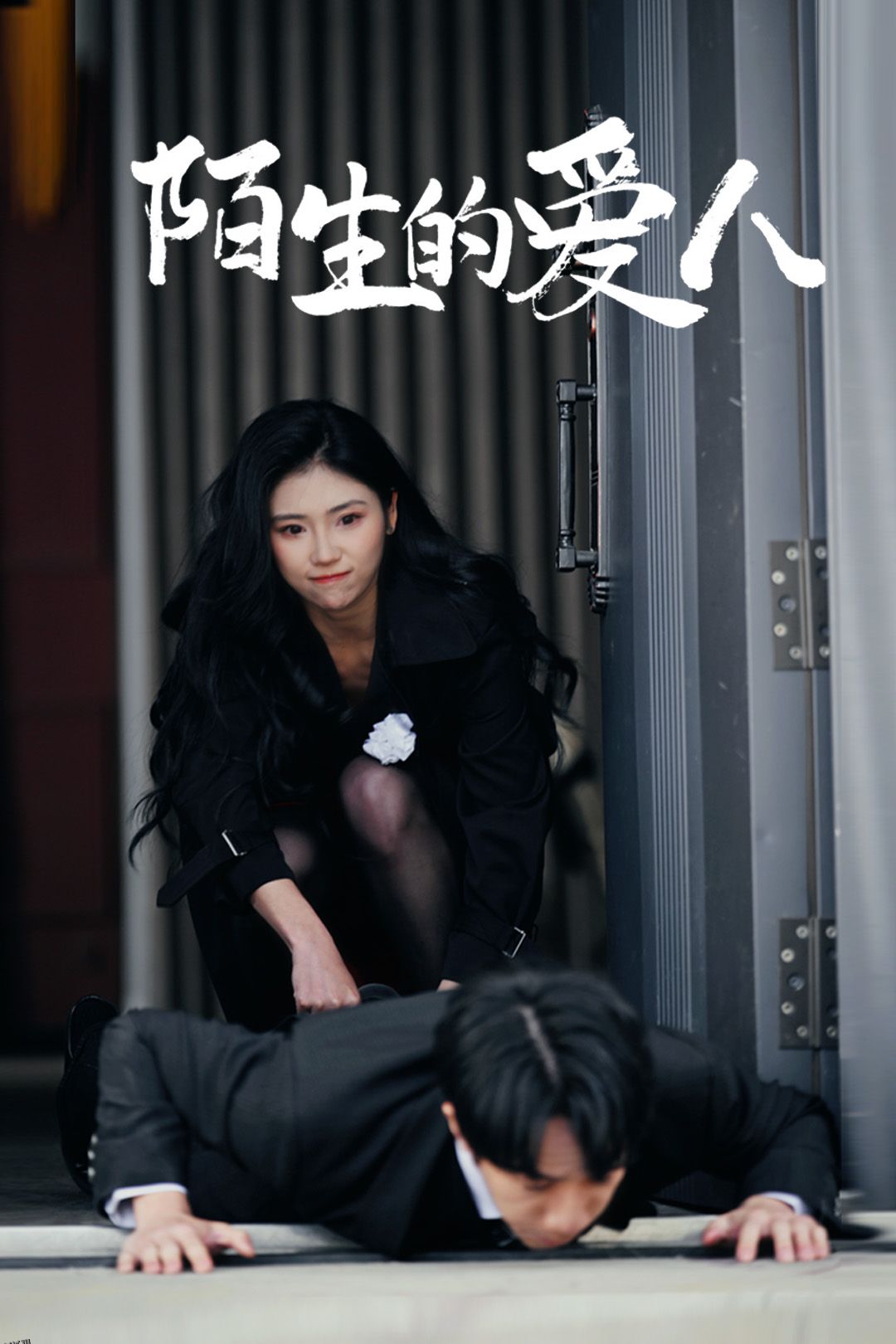 陌生的爱人 海报