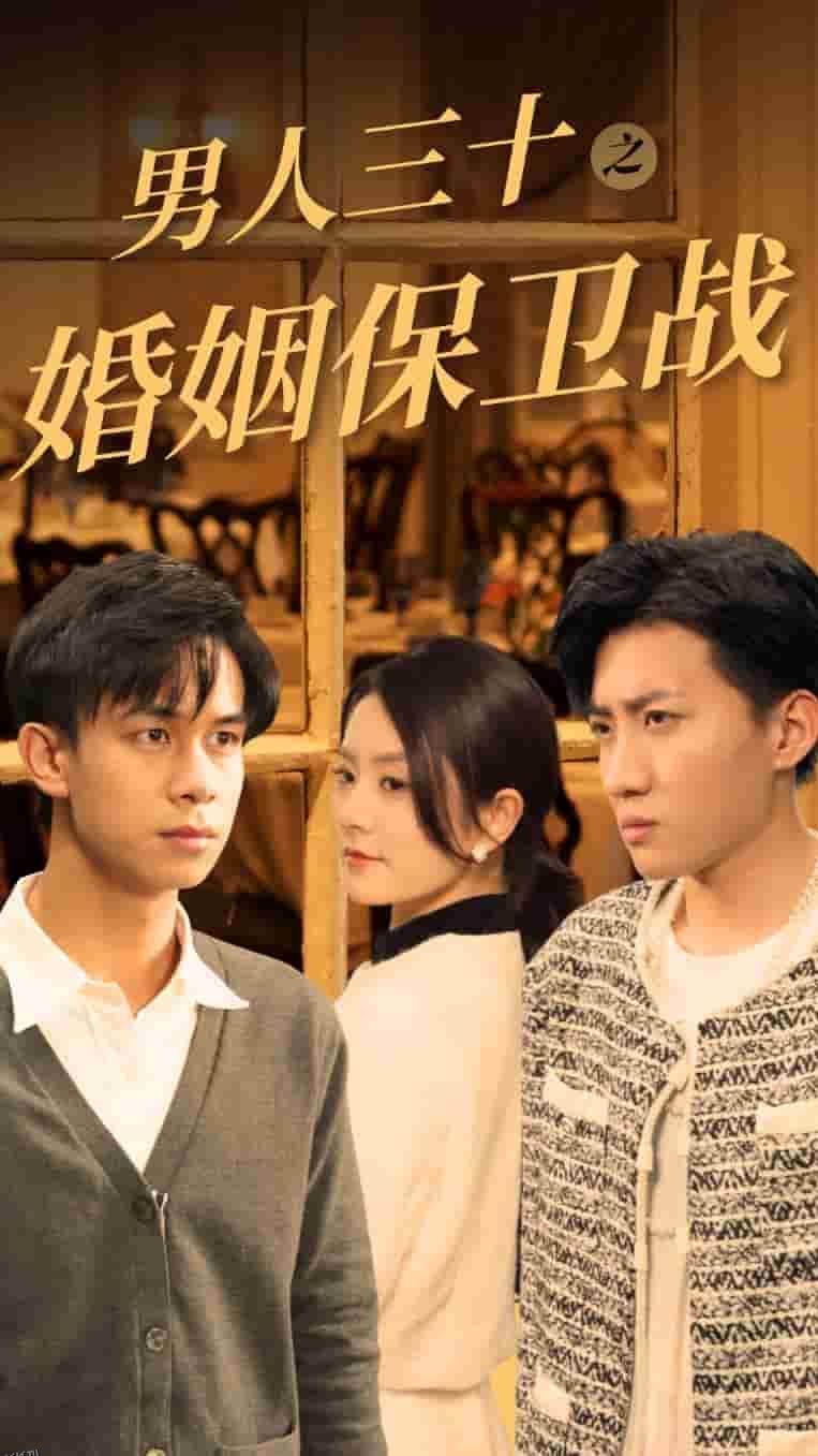 男人三十之婚姻保卫战 海报