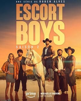 应召男郎第二季 海报