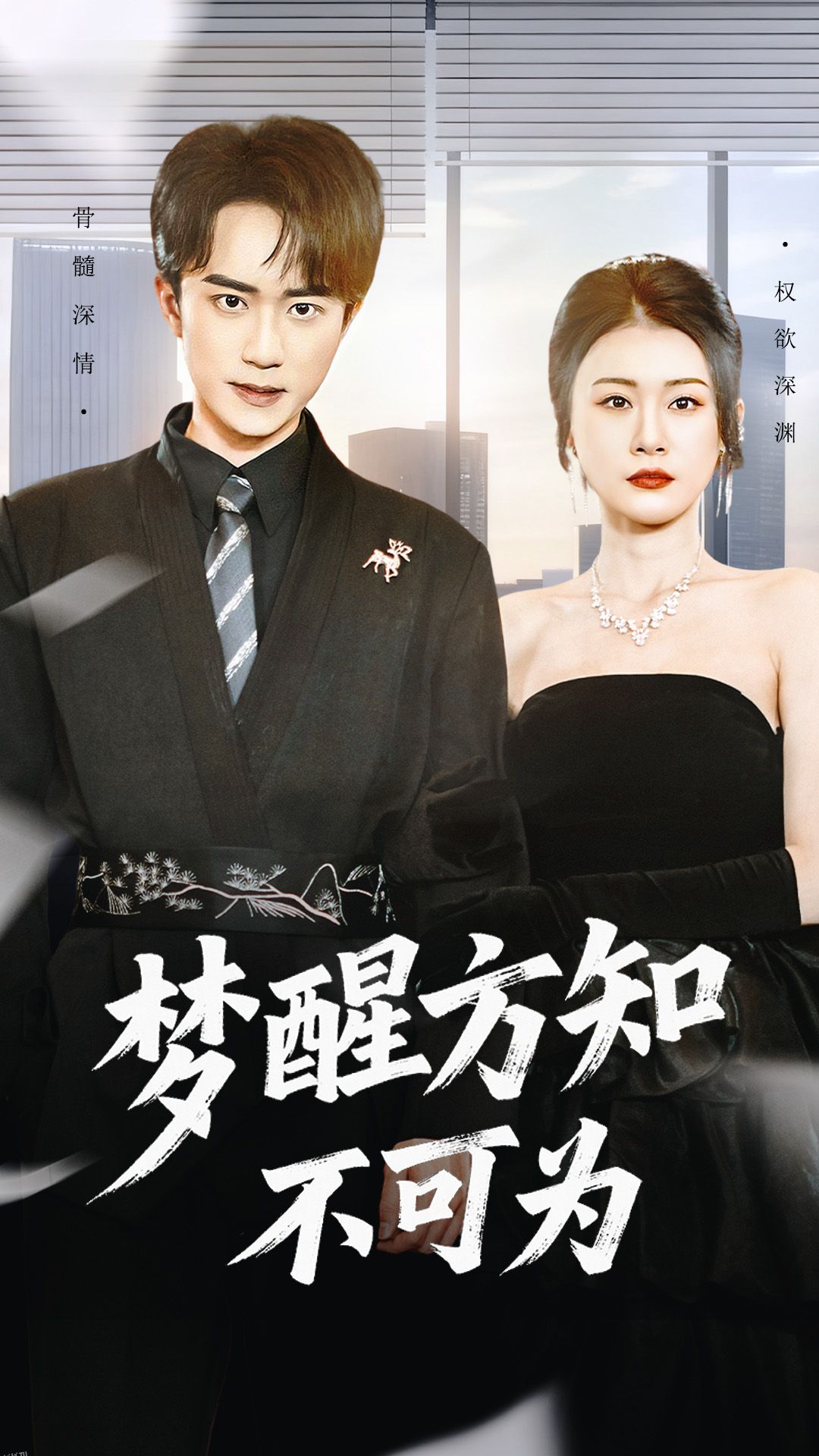 梦醒方知不可为 海报