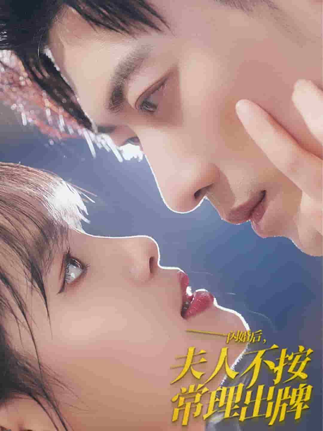 闪婚后夫人不按常理出牌 海报