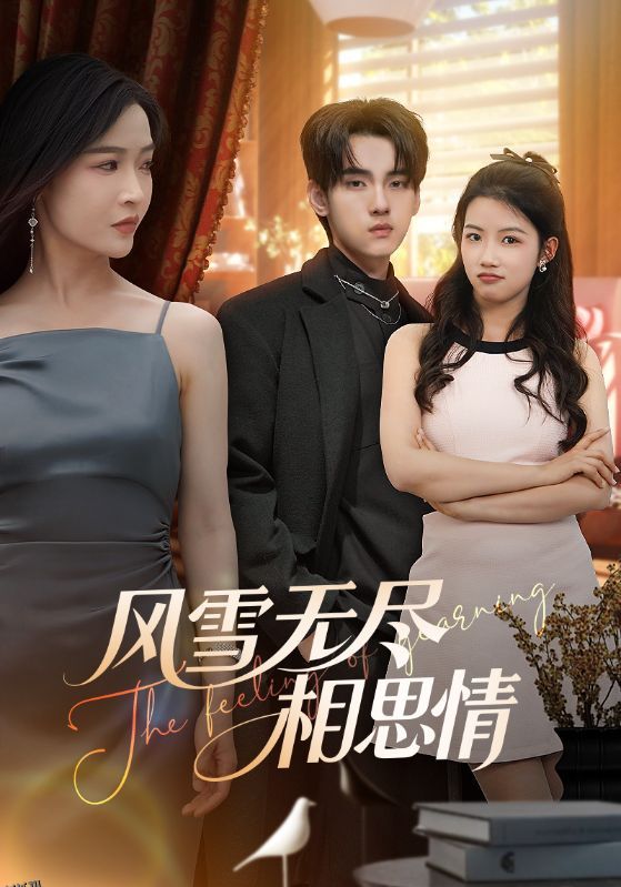 风雪无尽相思情 海报