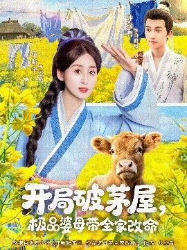 开局破茅屋极品婆母带全家改命 海报