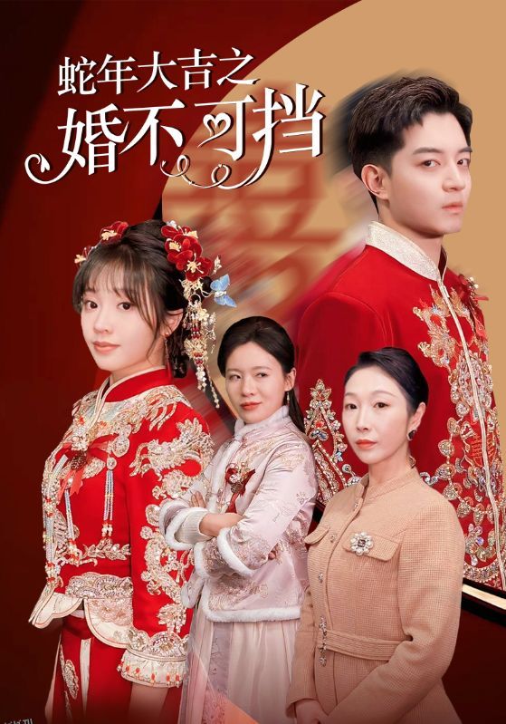 蛇年大吉之婚不可挡 海报