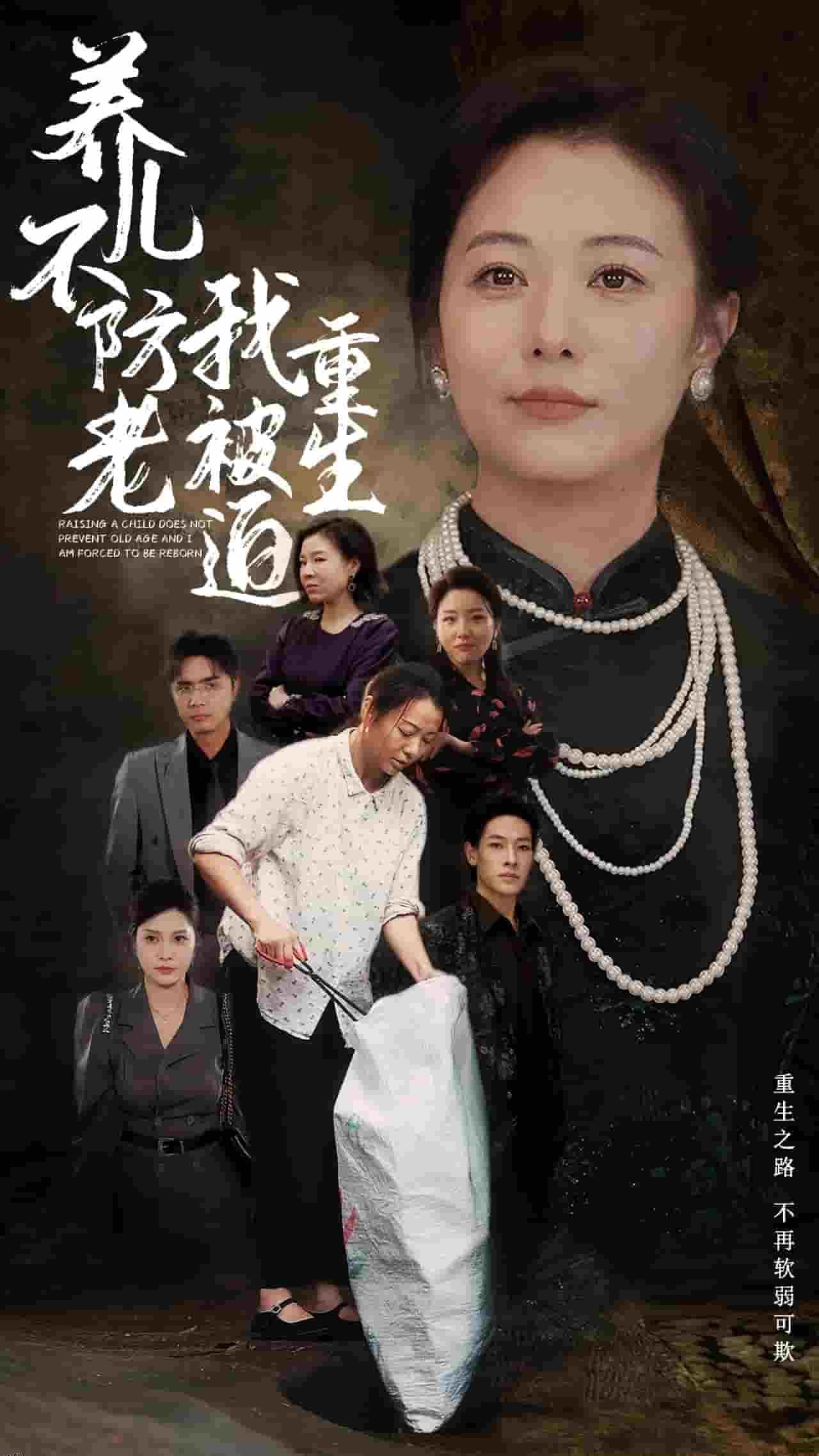 养儿不防老我被迫重生 海报