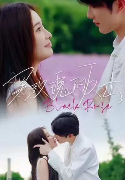 黑玫瑰的反击 海报
