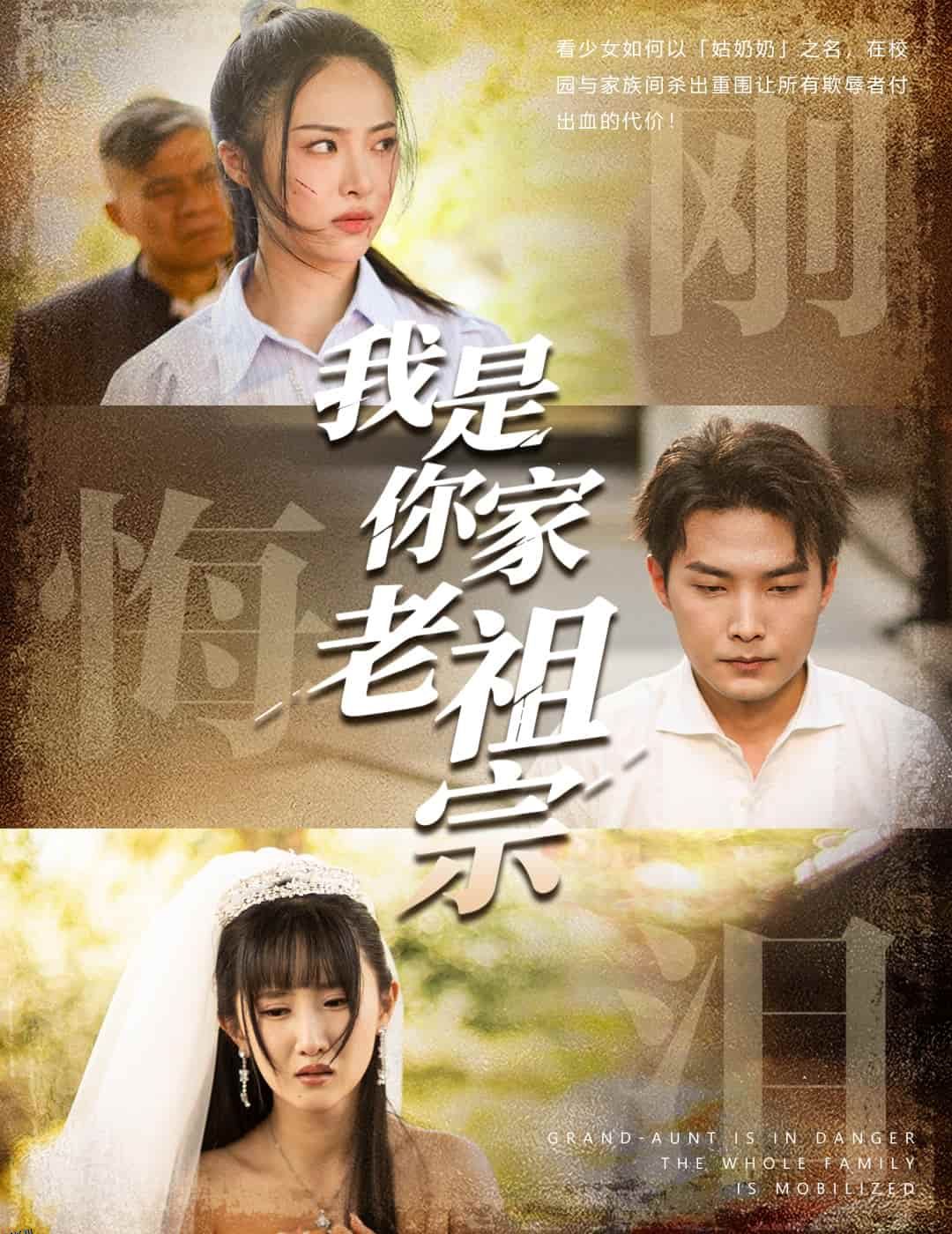 我是你家老祖宗 海报