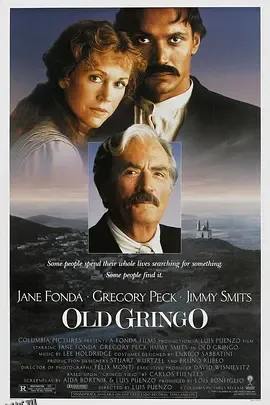 烽火异乡情 海报