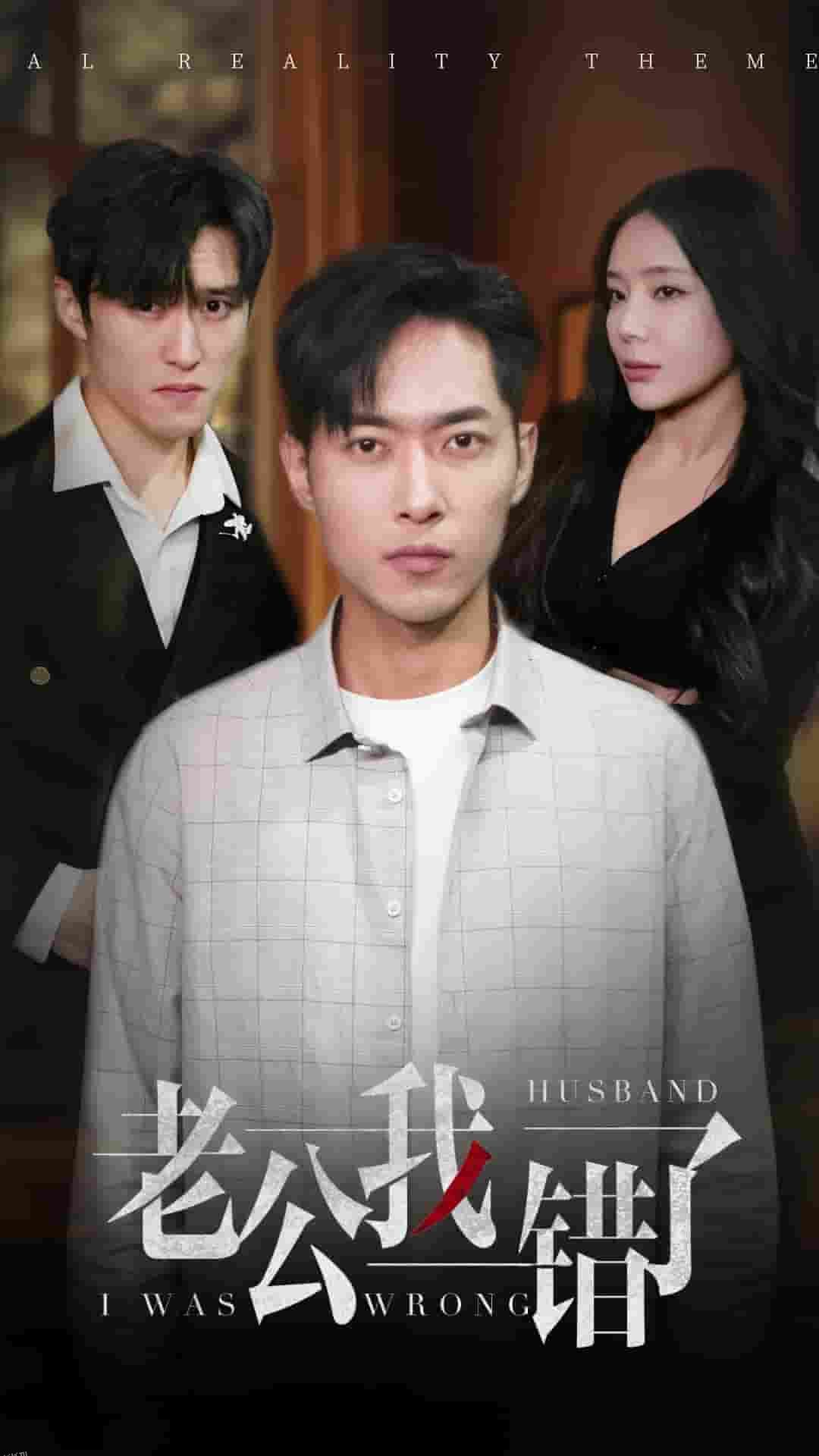 老公我错了 海报