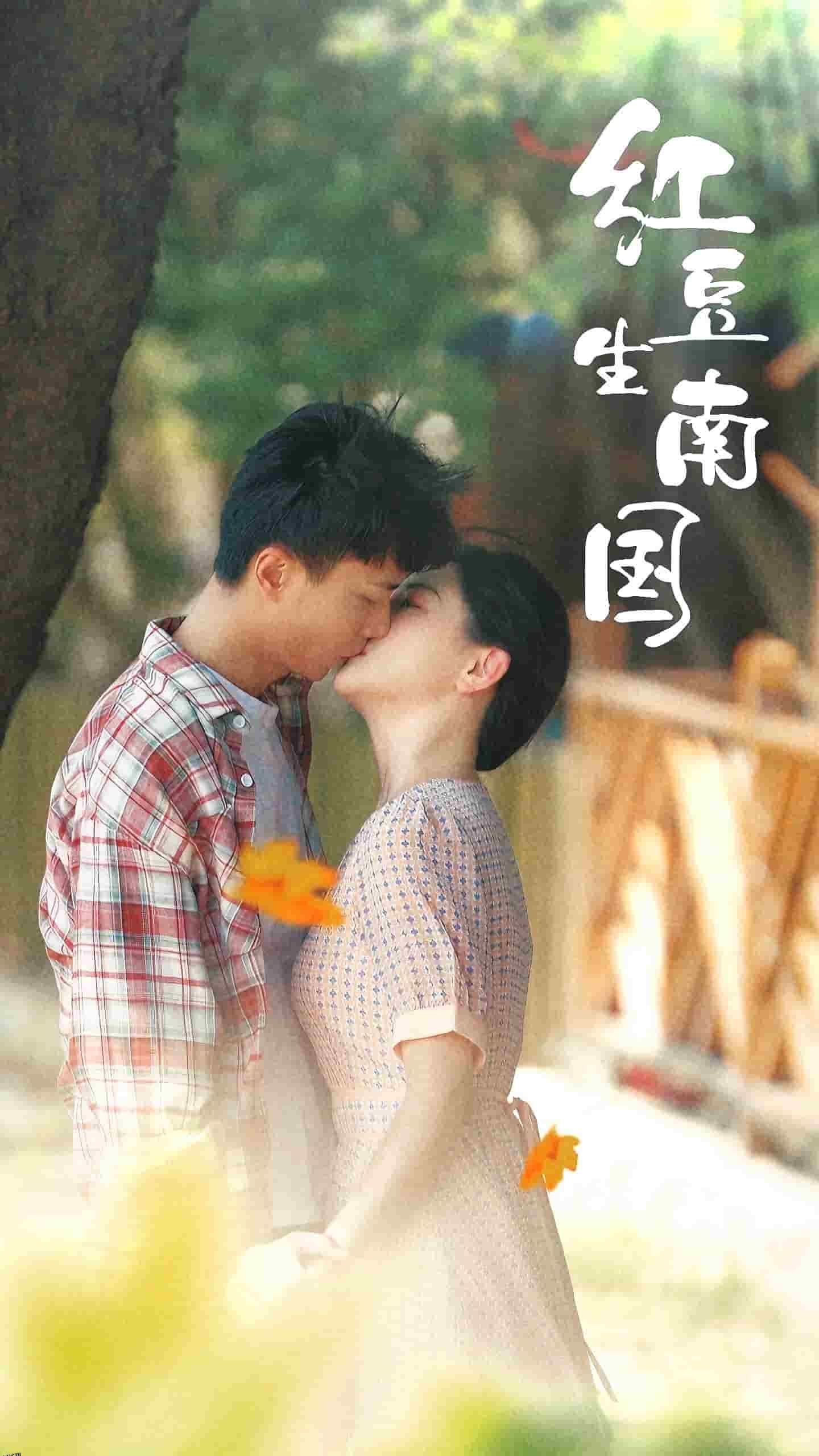 红豆生南国 海报